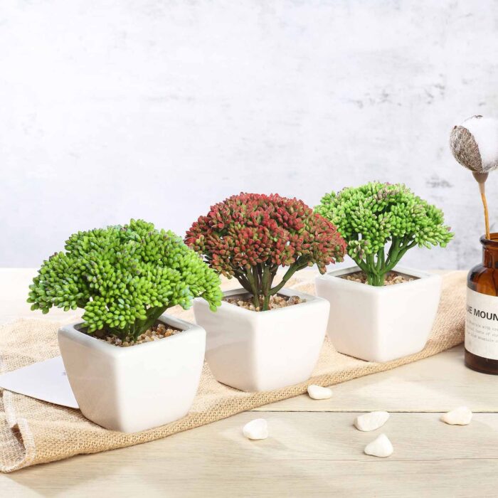 Efavormart Set of 3 | 6'' Assorted Autumn Joy Sedum Artificial Faux Succulent - Image 4