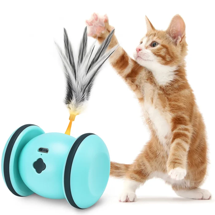 Interactive Cat Toys for Indoor Cats